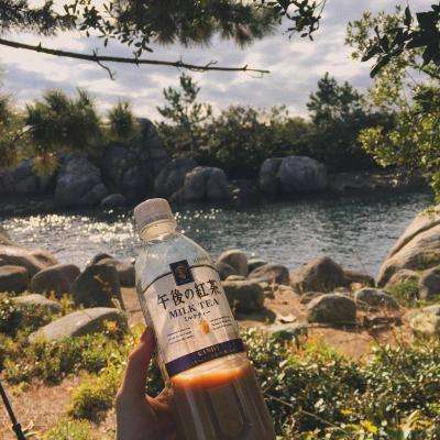 kdpay钱包下载安卓版